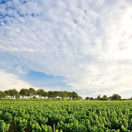 Chateau Rousselle Bed & Breakfast Saint-Ciers-de-Canesse