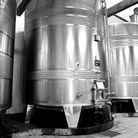 Chateau Rousselle Saint-Ciers-de-Canesse