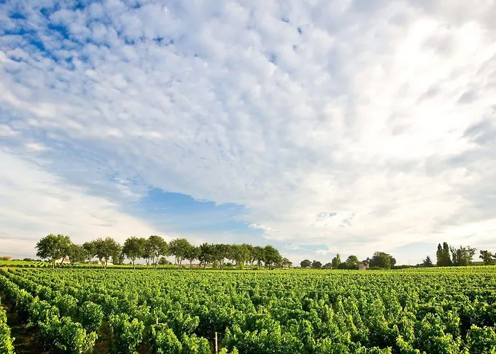 Chateau Rousselle Bed & Breakfast Saint-Ciers-de-Canesse