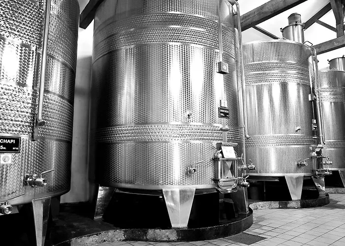 Chateau Rousselle Saint-Ciers-de-Canesse