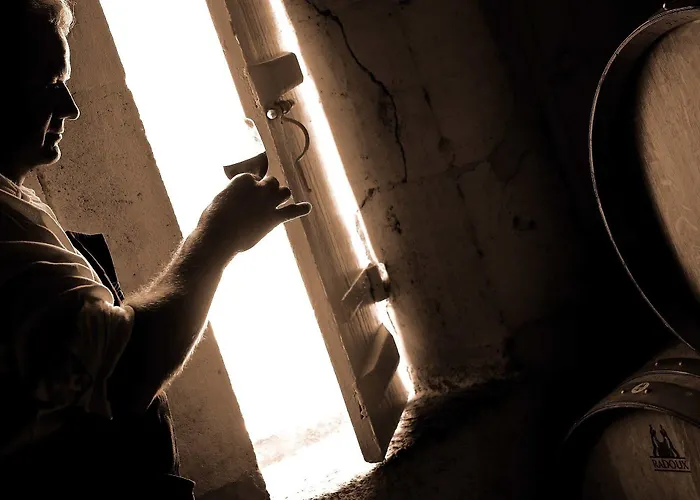 Chateau Rousselle Bed & Breakfast Saint-Ciers-de-Canesse